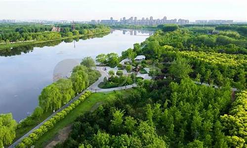 大运河森林公园风景区_大运河森林公园风景区图片