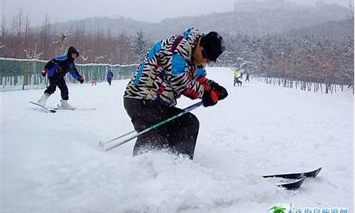 大连劳动公园滑雪场_大连劳动公园滑雪场门票价格