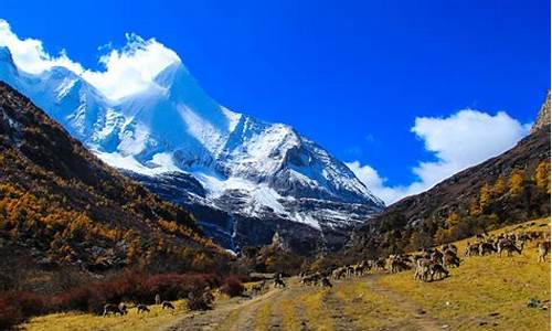 稻城亚丁旅游攻略自驾_稻城亚丁旅游攻略自驾五日游