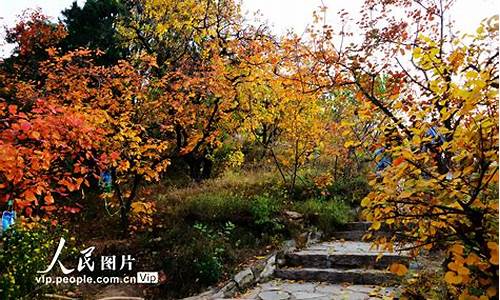 北京香山植物园门票_北京香山植物园门票价格