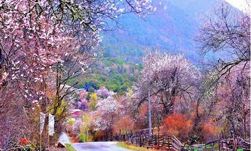 林芝旅游攻略自由行四日_林芝4日游攻略