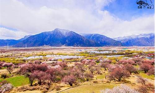 林芝旅游景点_林芝旅游景点攻略自由行