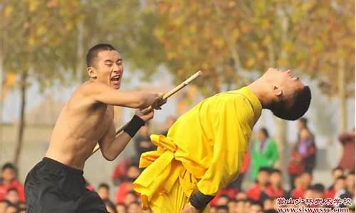 少林寺学校一年学费_少林寺学校一年学费多少钱&e