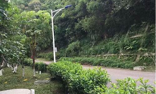 宝安平峦山公园附近住宿_宝安平峦山公园附近住宿推荐