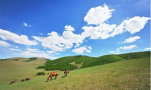 丰宁坝上草原旅游攻略1天_丰宁坝上草原旅游攻略1天多少钱